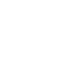 Delta Informatica